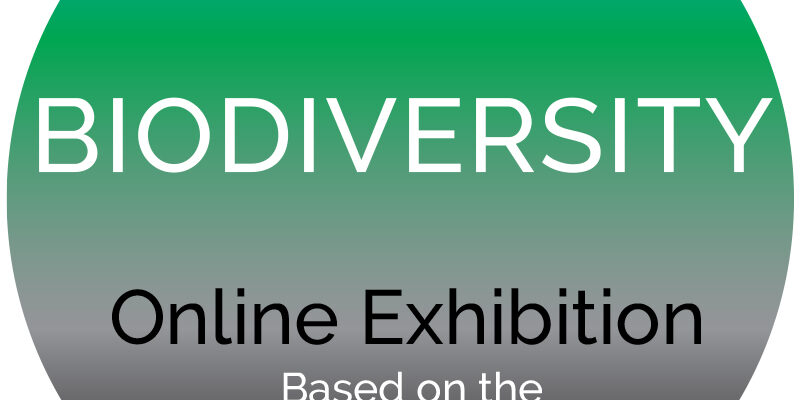 Biodiversity online exhibition logo