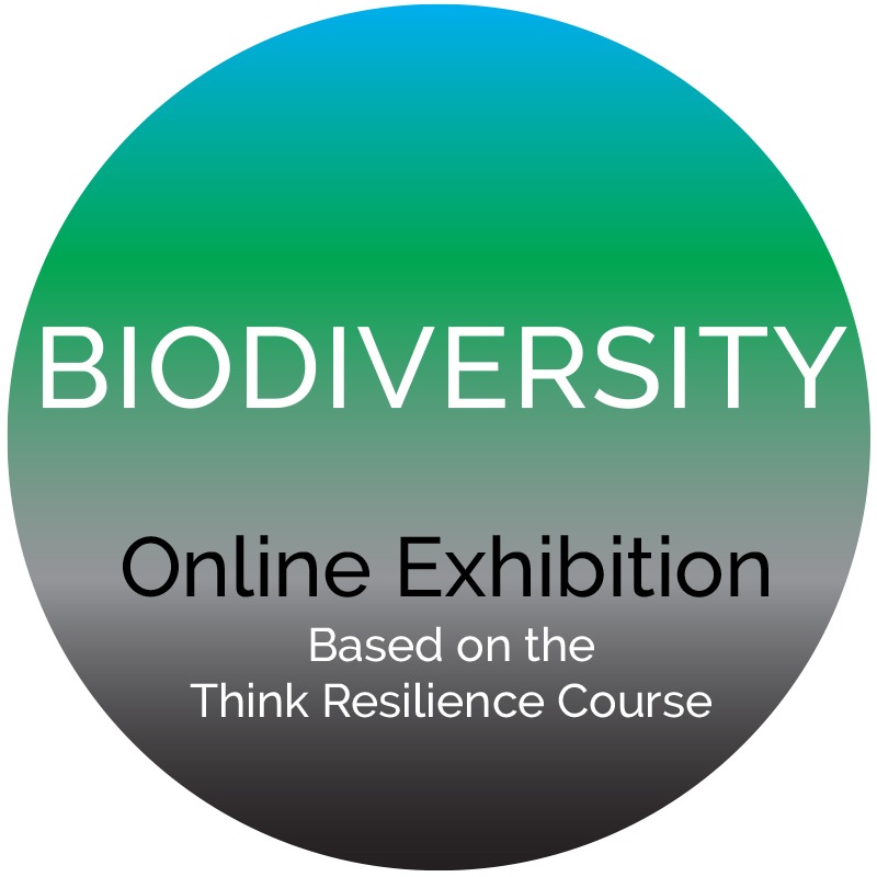Biodiversity online exhibition logo