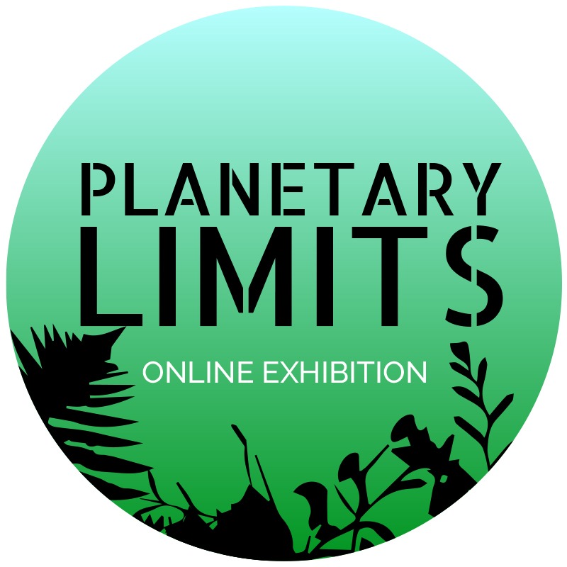 online exhibitions planetary limits copy 1