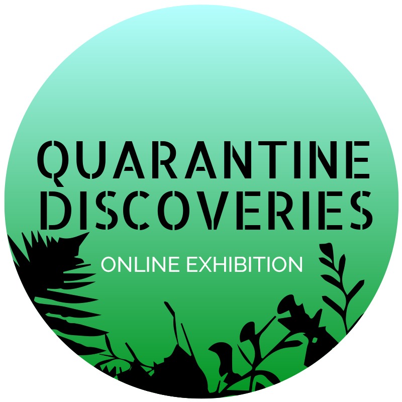online exhibitions quarantine discoveries