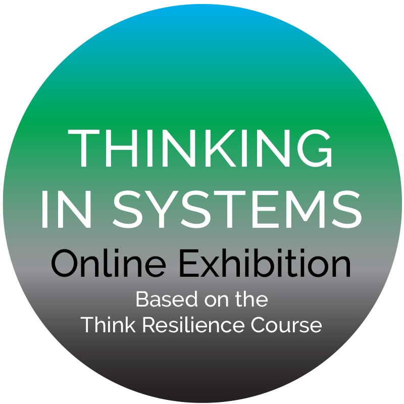 Thinking in Systems online