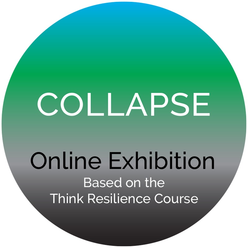 WNFE Collapse online exhibition 02