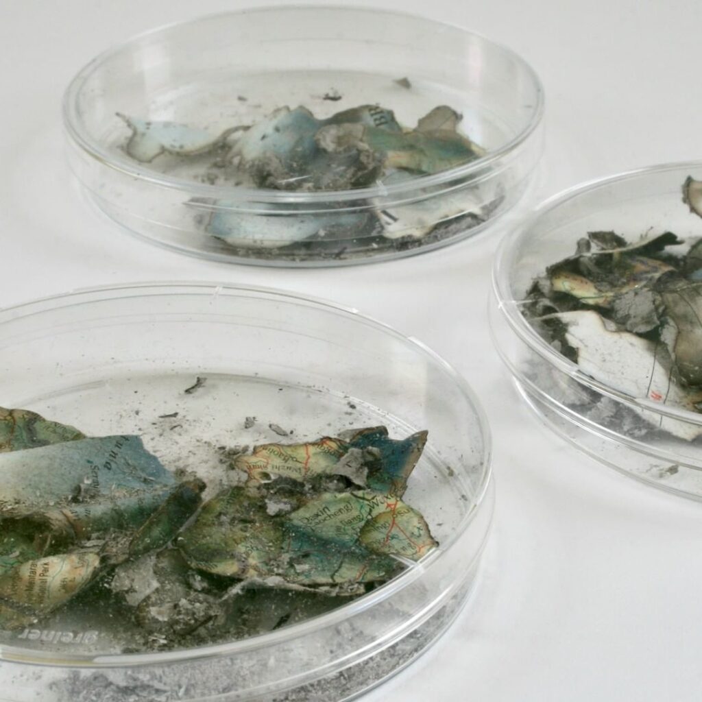 Jacqui Jones Vanished What S Next For Earth