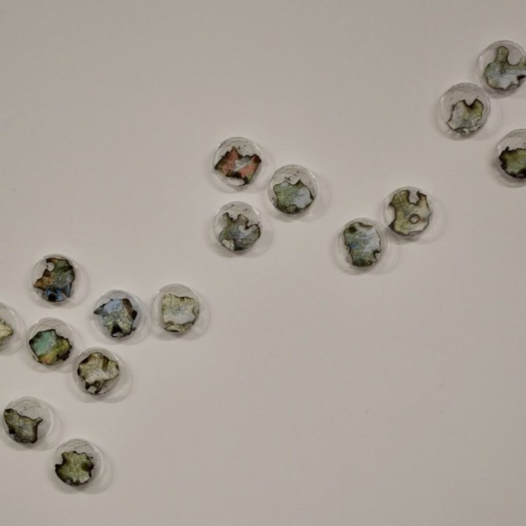 Jacqui Jones Vanished What S Next For Earth